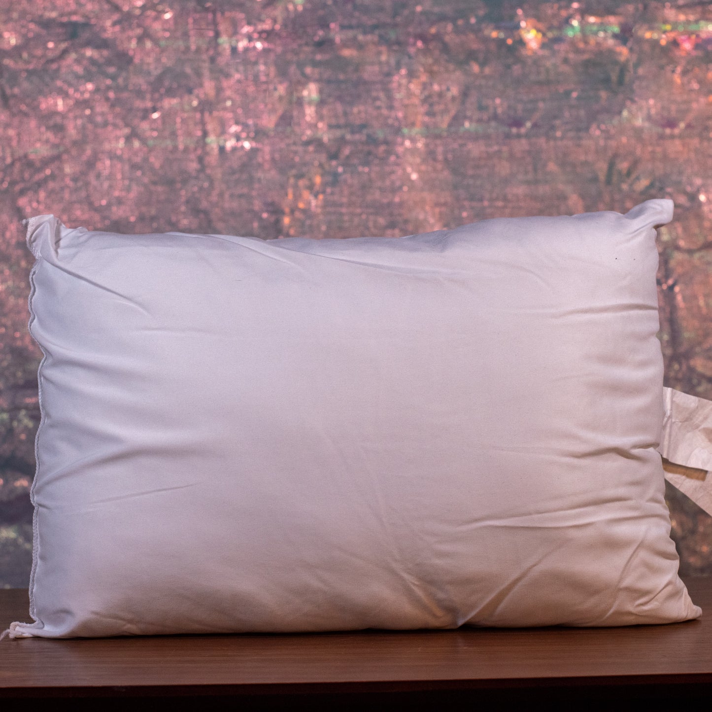 14x19 inch Travel Pillow Form
