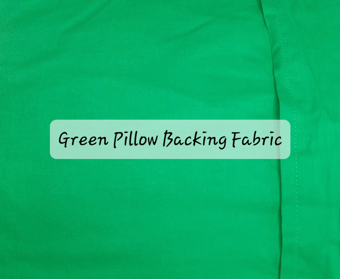 Quilt Shops Color-Me Pillow Sham, Green Backing