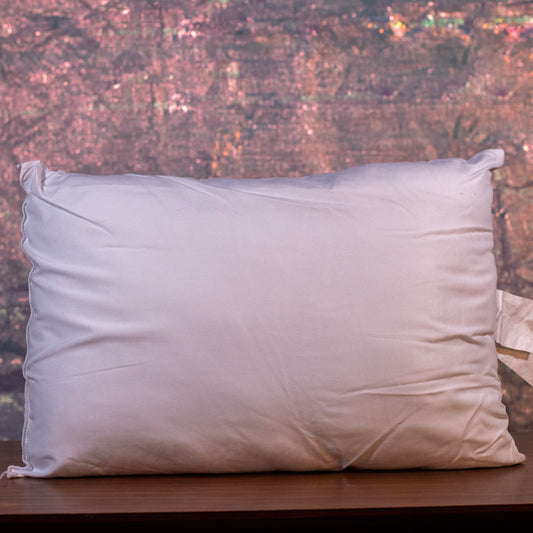 14x19 inch Travel Pillow Form